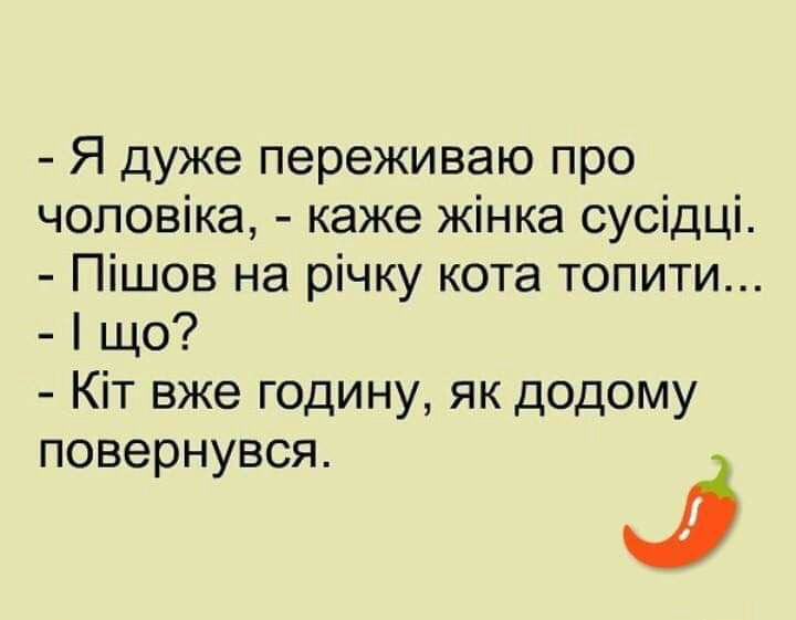 Я дуже переживаю про чоловіка каже жінка сусідці Пішов на річку кота топити що Кіт вже годину як додому повернувся