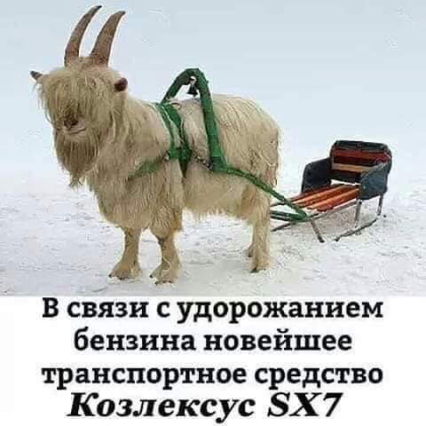 в связи с удорожанием бензина новейшее транспортное средство Козлексус БХ 7