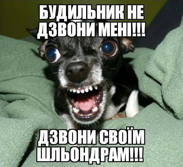 БУДИЛЬИИИ ИЕ 1138 И МБШ