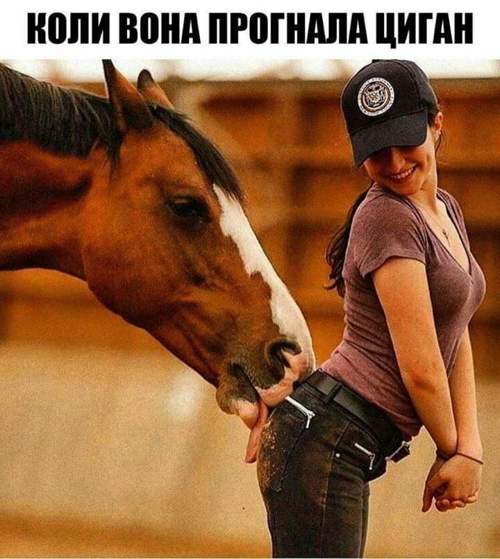 ШШ вони ПРПППШП ЦИПШ