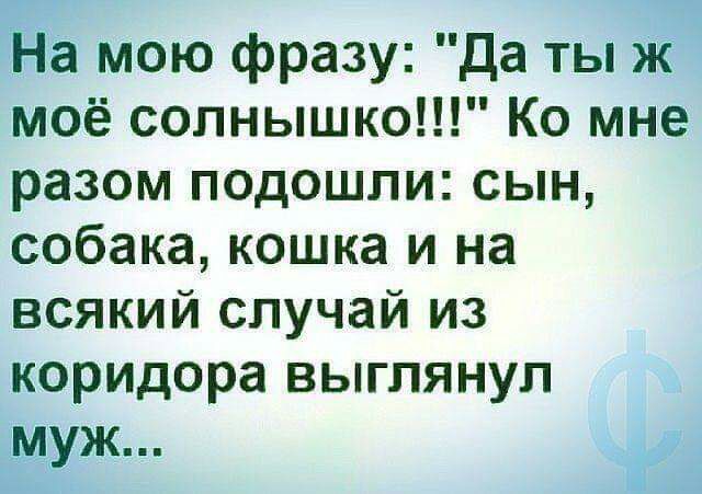 На мою фразу да ты ж моё солнышко Ко мне разом подошли сын собака кошка и на всякий случай из коридора выглянул муж