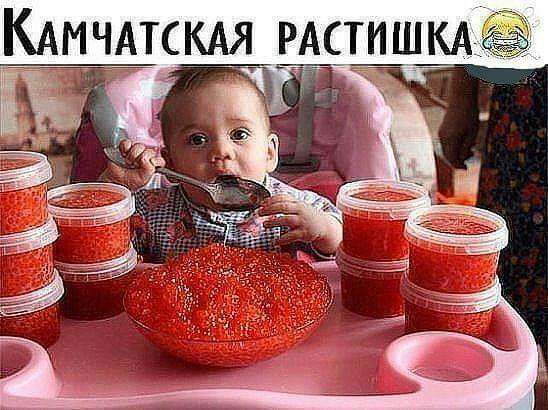 КАмчдтскдя РАСШШКАЁЁЫ