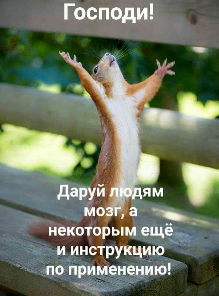 Господи некоторым ещё и инструкцию по применению Мг За