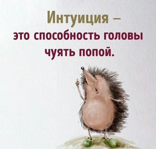 Интуиция это способность головы чуять попой