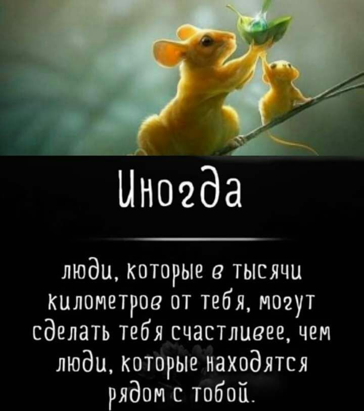 ЦНоеда люди которые в тысячи километров от тебя могут сделать тебя счастливее чем люди которые находятся рядом с тобой