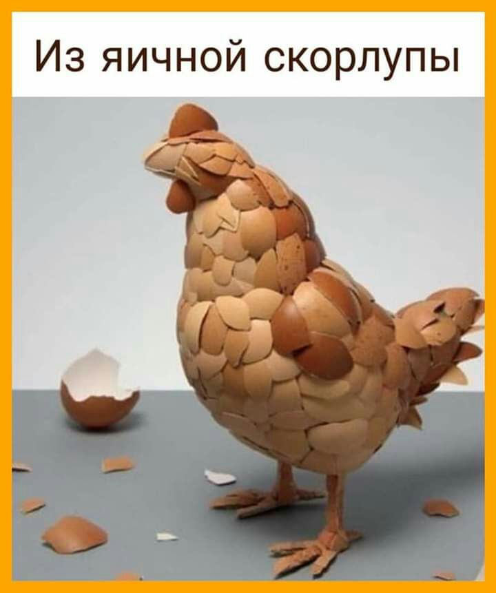 Из яичной скорлупы