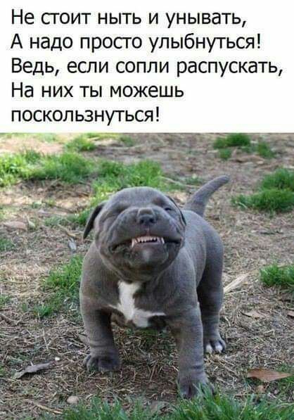 Не сгоит ныть и унывать А надо просго улыбнуться Ведь если сопли распускать На них ты можешь поскользнуться