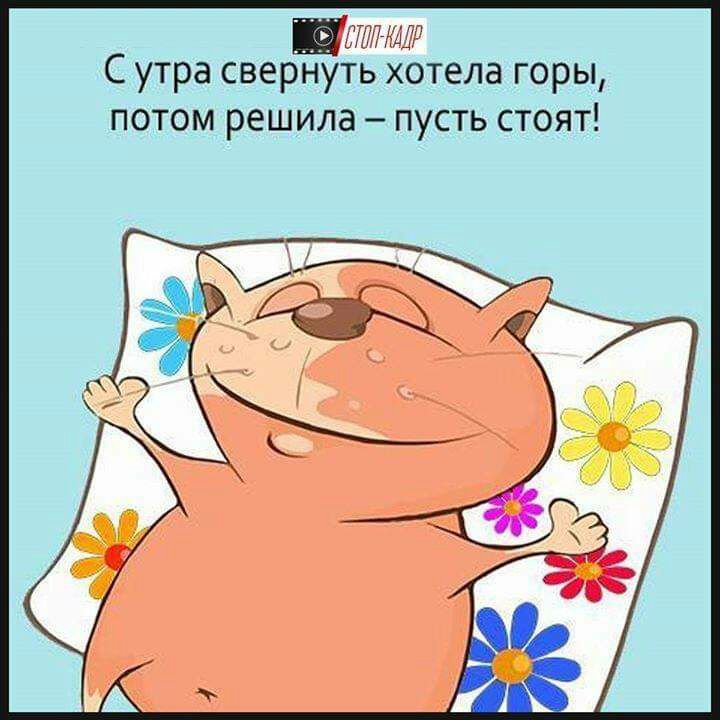 С утра свернуть хотела горы потом решила пусть стоят