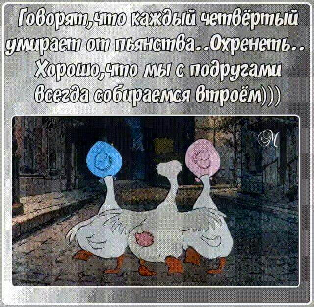 Ёшадт 11 ШП пьянства _ Хордт под