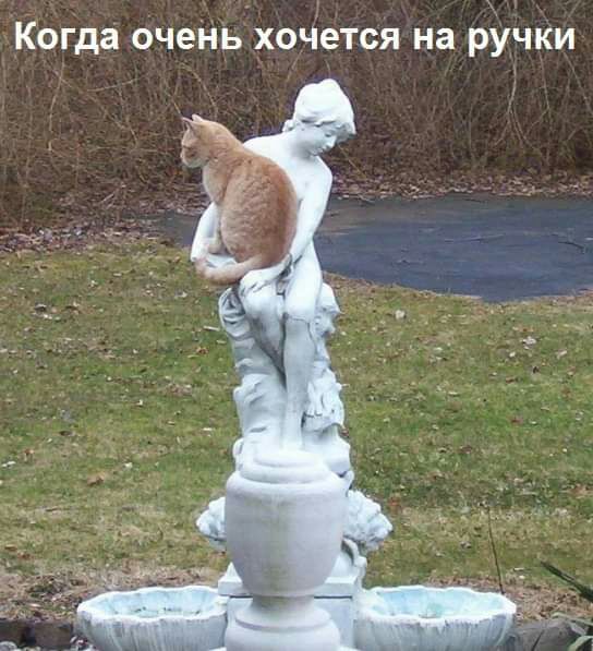 Когда очень хоЧется на ручки