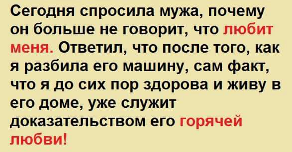 Сегодня спросила мужа почему он больше не говорит что любит меня Ответил что после того как я разбила его машину сам факт что я до сих пор здорова и живу в его доме уже служит доказательством его горячей любви