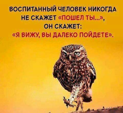 воспитднный человек НИКОГДА на сюжет пошвл ты он СКАЖЕТ я вижу вы дАЛЕКО пойдете