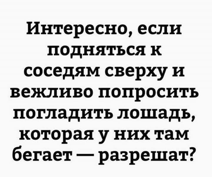 Интересно если подняться к соседям сверху и вежливо попросить погладить лошадь которая у них там бегает разрешат