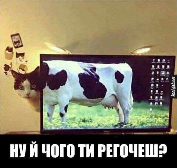 Й ШШ ТИ РЕШЧЕШ