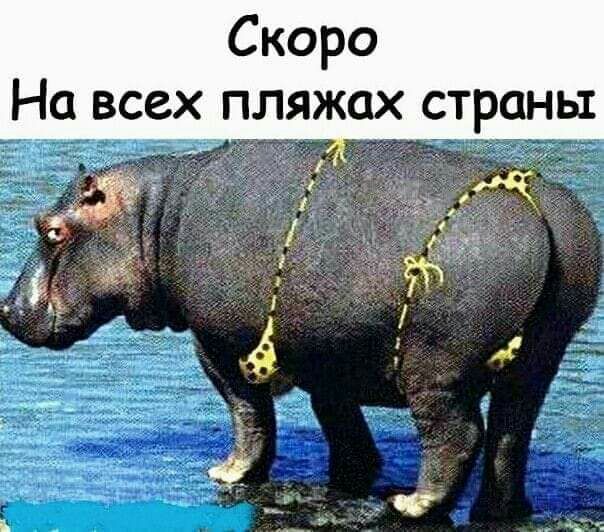 Скоро На всех пляжах страны