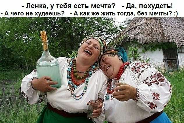 Пенка у тебя есть мечта да похудеть А чего не худеешь А как же жить тогда без мечты