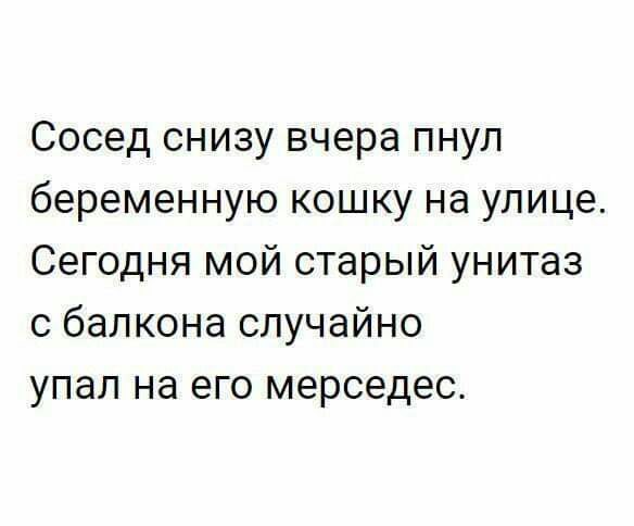 Сосед снизу вчера пнул беременную кошку на улице Сегодня мой старый унитаз с балкона случайно упал на его мерседес