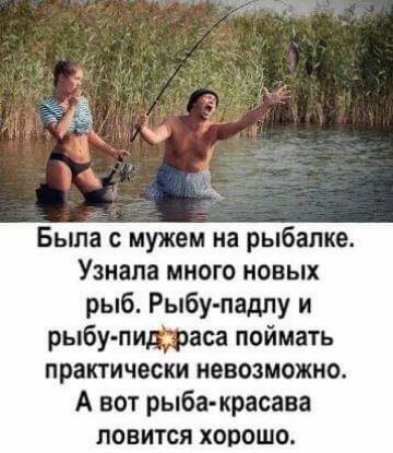 Была с мужем на рыбалке Узнала много новых рыб Рыбу падпу и рыбупищраса поймать практически невозможно А вот рыба красава ловится хорошо