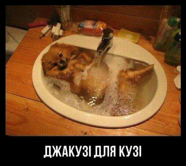дЖАКУЗі дЛЯ КУ3
