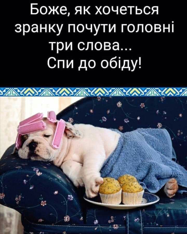 Боже як хочеться зранку почути головні три слова Спи до обіду