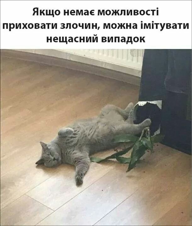 Якщо немае можливості приховати злочин можна імітувати нещасний випадок