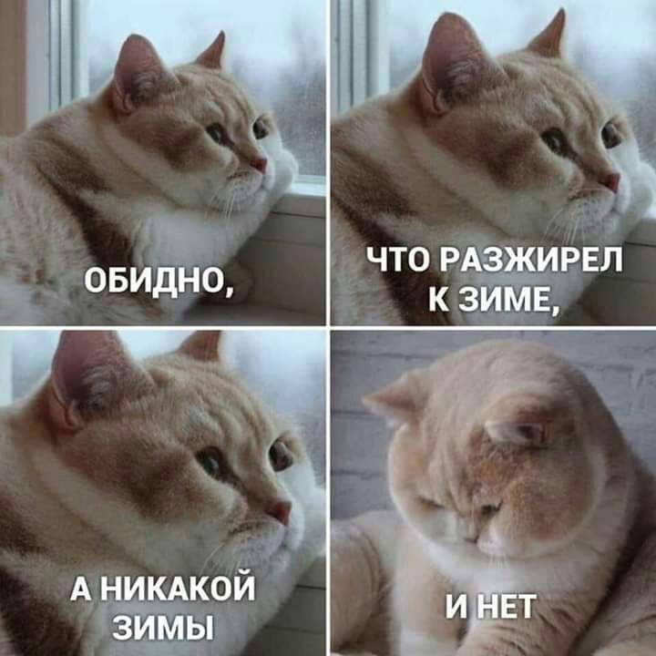 У что рдзщирвл нама