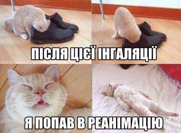 1 ш
