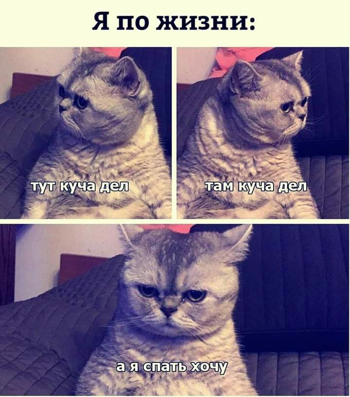 и н 3 и ж 0 п Я