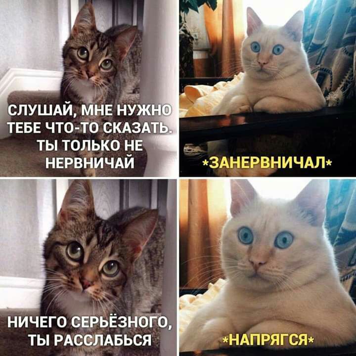 ТЫ ТОЛЬКО ВЕ НЕРВНИЧАИ ЗШ ЁЁРЁЕ СИЧДЛй ничвго с ьёзп іОТЪ ты РАселАБься лС БДПЁ ГСідЁ А