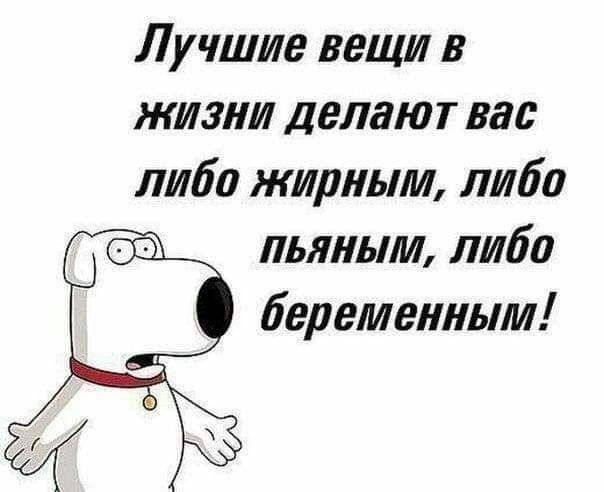 Лучшие вещи в жизни делают вас либо жирным либо пьяным либо беременным