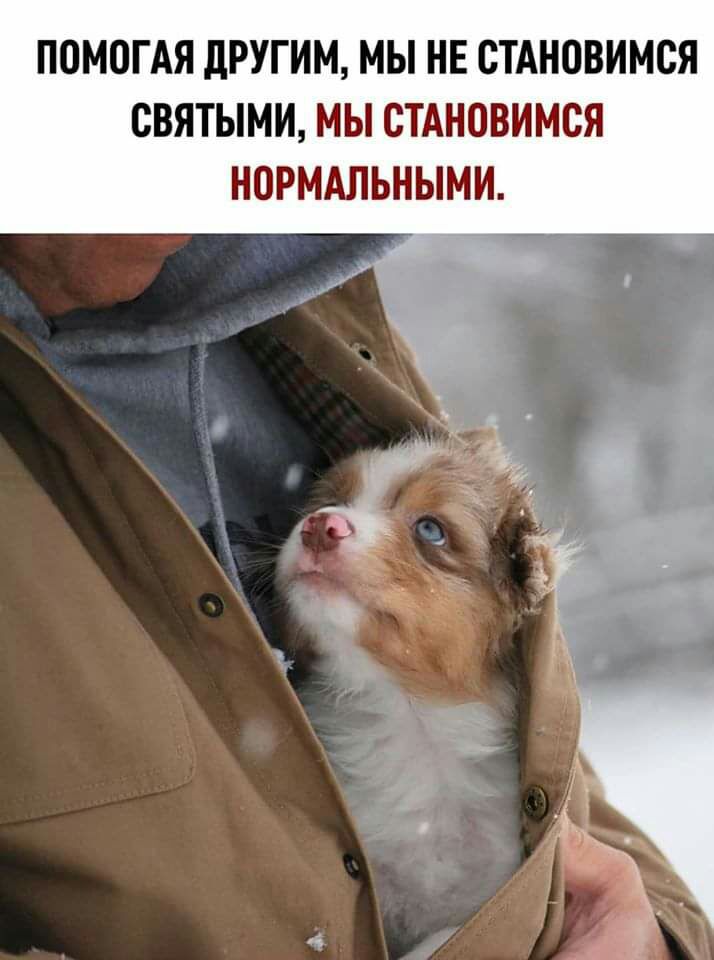 П0М0ГАЯ дРУГИМ МЫ НЕ СТАНОВИМСЯ СВЯТЫМИ МЫ СТАНОВИМСЯ НОРМАЛЬНЫМИ