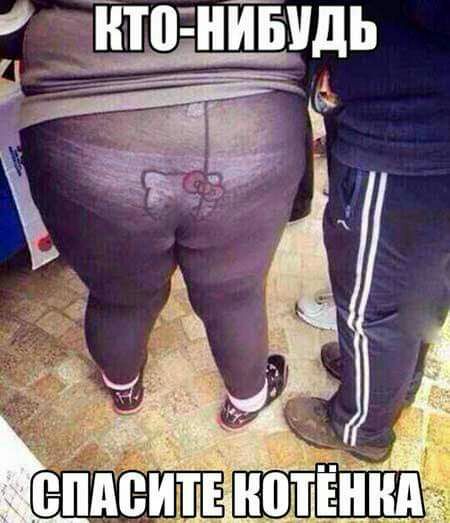 Тито інівидь