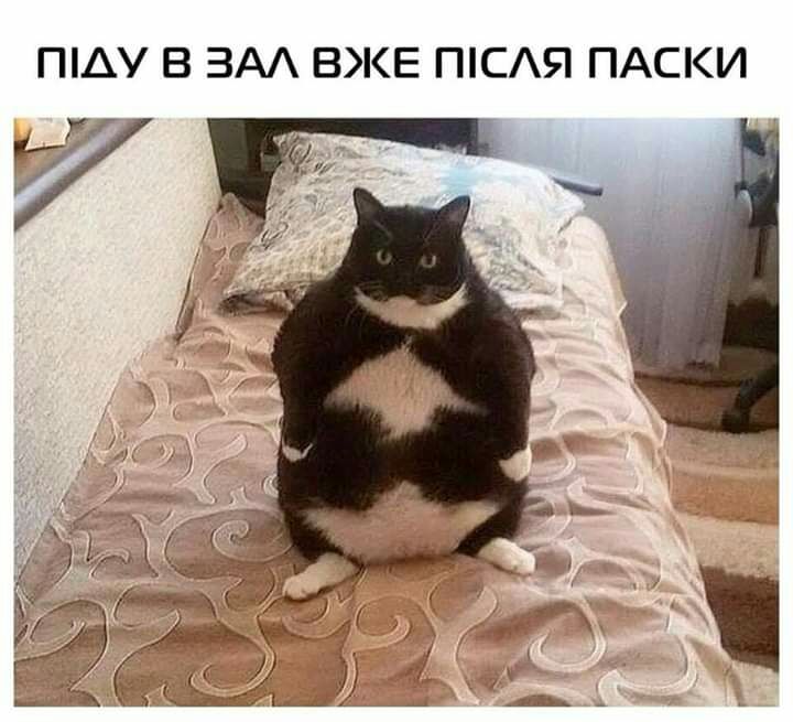 ПАУ В ВАА ВКЕ ПСЯ ПАСКИ