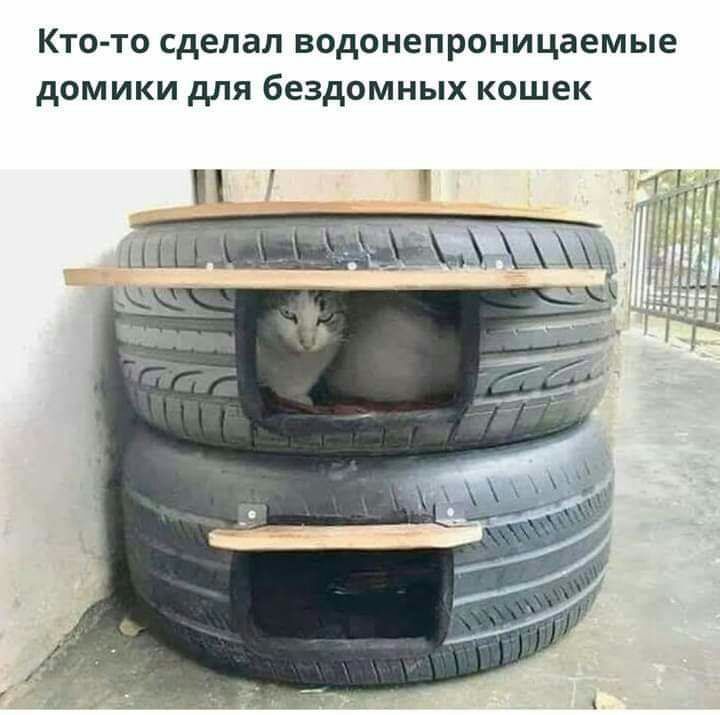 Ктото сделал водонепроницаемые домики для бездомных кошек