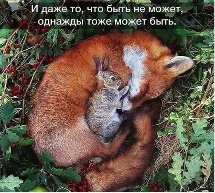 грит_ и Ё И даже точто быть не МОжет однажды тоже может быть _