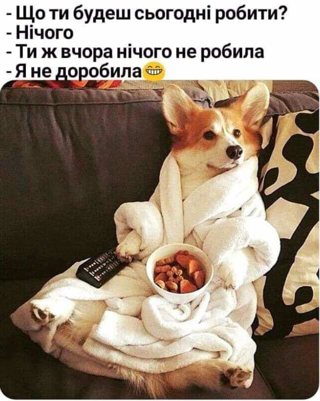Що ти будеш сьогодні робити Нічого Ти ж вчора нічого не робила