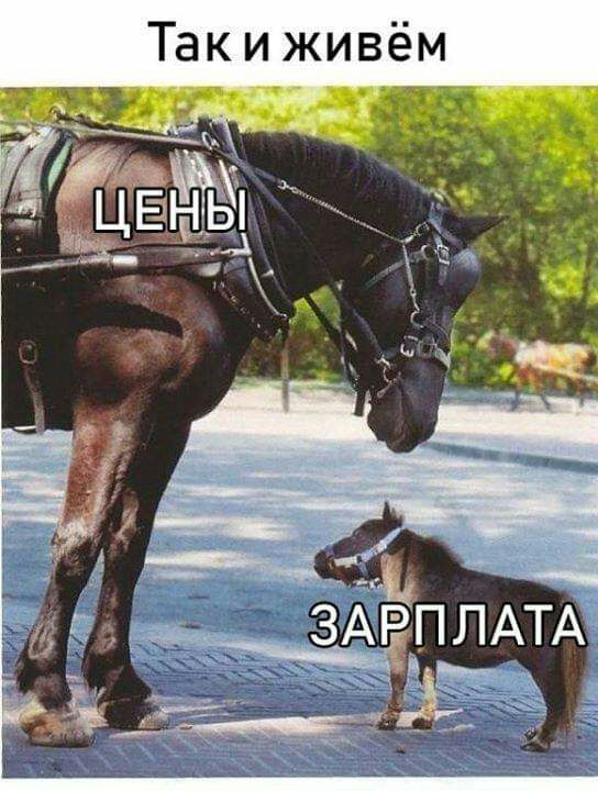 Такиживём _ ___ _ ЁДРПЛАТА