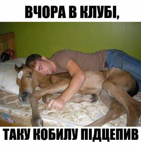 ТАШ ОБИ дЕИВ