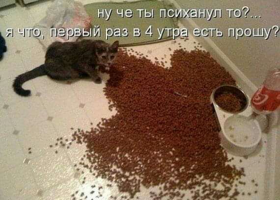нул то _эс гь град