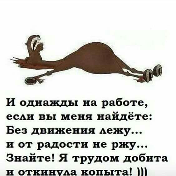 И однажды на работе есАи вы меня найдёте Без движения дежу и от радости не ржу Знайте Я трудом добита и отинщма копыта