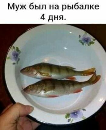 Муж был на рыбалке 4 дня