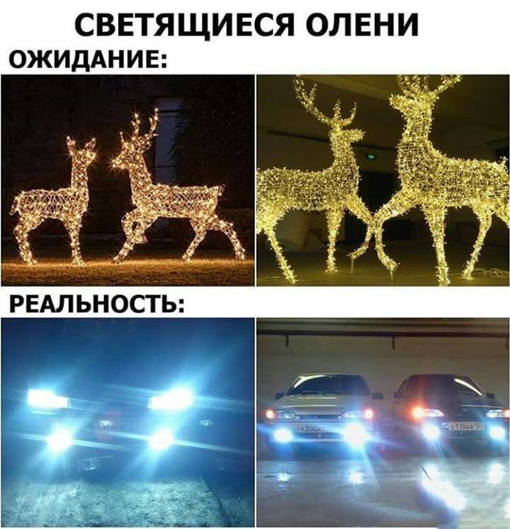 СВЕТЯЩИЕСЯ ОЛЕНИ ОЖИДАНИЕ