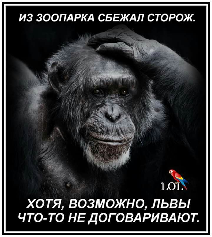 И3 ЗООПАРКА СБЕЖАЛ СТОРОЖ ХОТЯ ВОЗМОЖНО ЛЬВЫ ЧТО ТО НЕ ДОГОВАРИВАЮТ