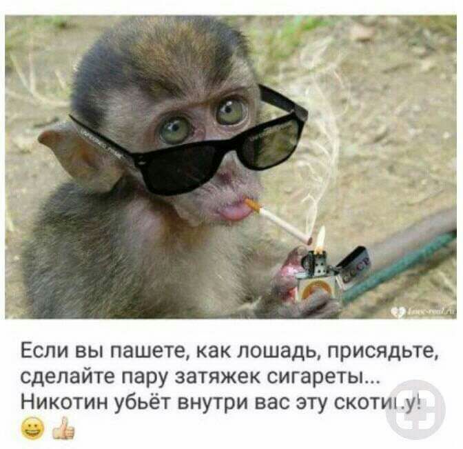 Если вы пашете как лошадь присядьте сделайте пару затяжек сигареты Никотин убьёт внутри вас эту скотип у 03