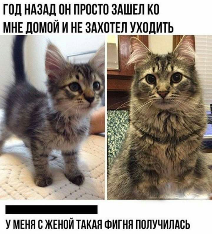 ГОД НАЗАД ОН ПРООТО ЗАШЕЛ КО МНЕ ДОМОЙ И НЕ ЗАХОТЕЛ УОДИТЬ У МЕНЯ О ЖЕНОЙ ТАКАЯ ФИГНН ПОПУЧИЛАОЬ