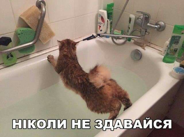 ппигксфШш здАвдйся