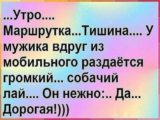 Утро МаршруткаТишина У мужика вдруг из мобильного раздаётся громкий собачий пай Он нежно Да Дорогая