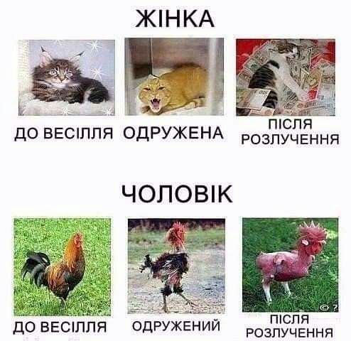 дО ВЕСППЯ оДРУЖЕНА РОЗЁЗТЁННЯ ЧОПОВК з ппспя до БЕСШПЯ одРУЖЕНИИ разлучення