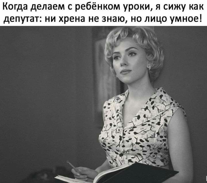 Когда делаем с ребёнком уроки я сижу как депутат ни хрена не знаю но лицо умное ИН