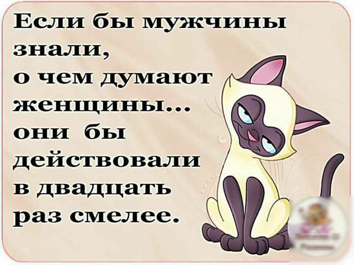 Если бы мужчины знали о чем думают женщиньх они бы действовали в двадцать раз смелее